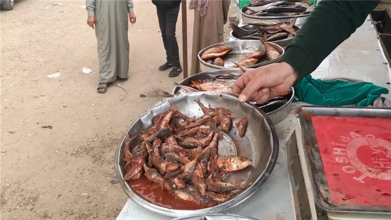 ضبط 420 كجم أسماك مملحة وغير صالحة للاستهلاك الآدمي بالسادات وشبين الكوم 
