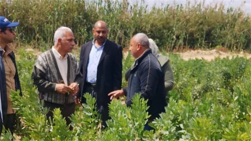 الزراعة تتابع إنتاج التقاوي والمحاصيل الاستراتيجية بمحطة النوبارية