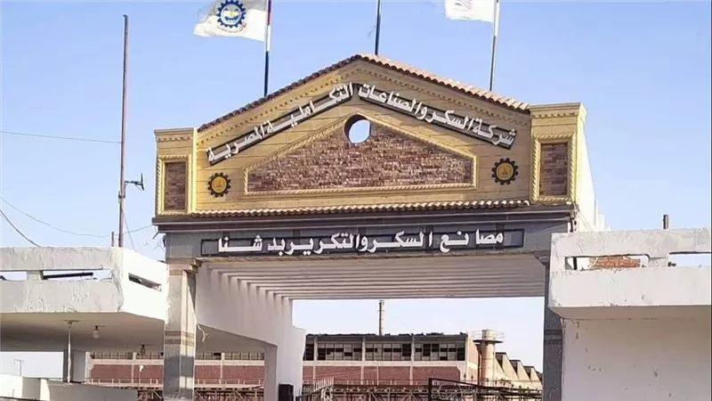 مع انتهاء الحصاد.. محافظ قنا يشيد بجهود مصانع السكر لإنجاح موسم توريد القصب