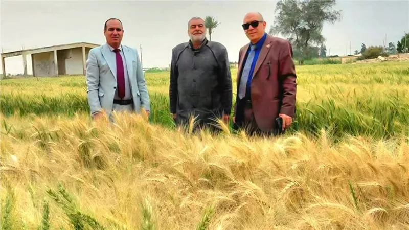 جولات ميدانية لمتابعة المحاصيل الزراعية ومنظومة صرف الأسمدة بالإسماعيلية