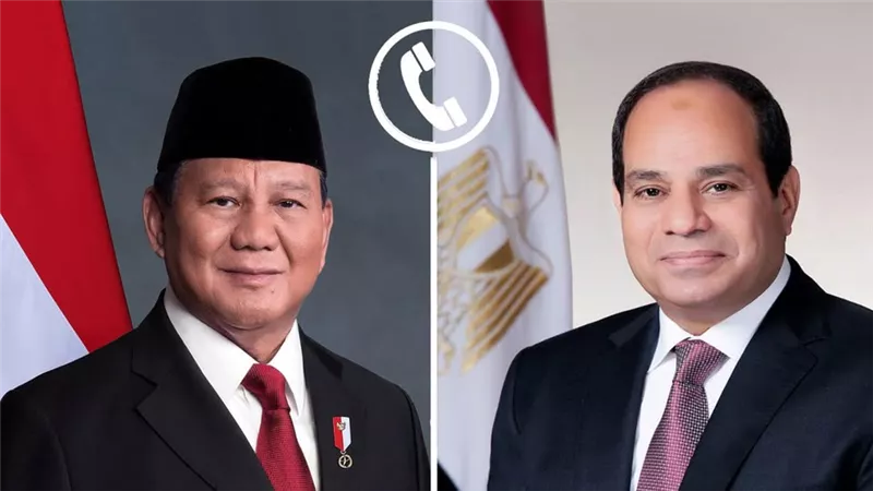 السيسي لنظيره الإندونيسي: مصر تدعم أمن الدول العربية وترفض انتهاك سيادتها