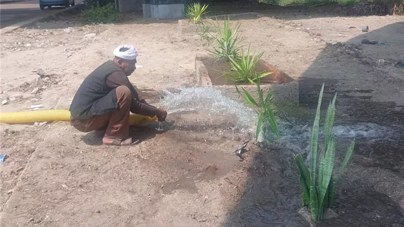 تجميل مدخل دمنهور.. أعمال نظافة وزراعة أسفل كوبري أبوحصيرة بالطريق الزراعي