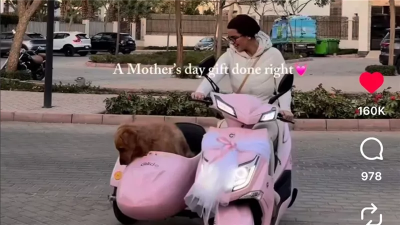 من الـ glx لـ الأسكوتر البينك.. هدايا عمرو راضي لزوجته هدير النحاس