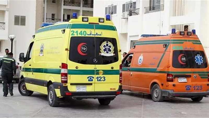 جريمة مأساوية في أسوان.. نجل ينهي حياة والدته بطعنة غادرة 