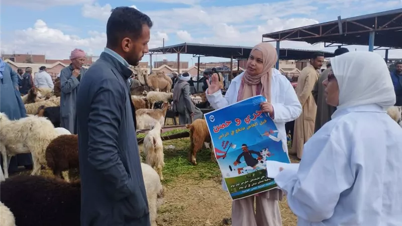 مديرية الطب البيطري تعلن بدأ الحملة القومية لتحصين الثروة الحيوانية