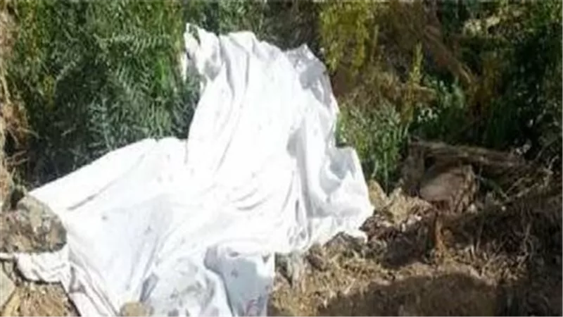 مصرع سيدة في حادث مأساوي أثناء تشغيل ماكينة دراس القمح بسوهاج 