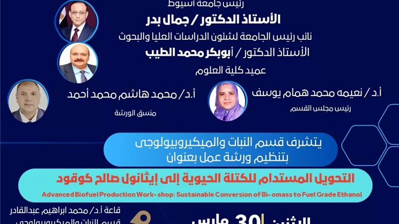 جامعة أسيوط تنظم ورشة عمل حول التحويل المستدام للكتلة الحيوية إلى إيثانول صالح