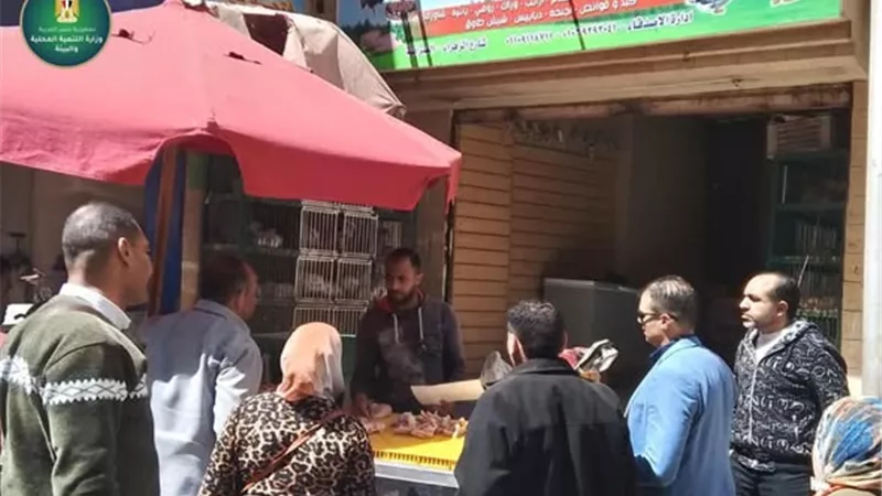 منال عوض تشن حملة صارمة على مخلفات الدواجن والأسماك بالجيزة لضمان صحةالمواطنين