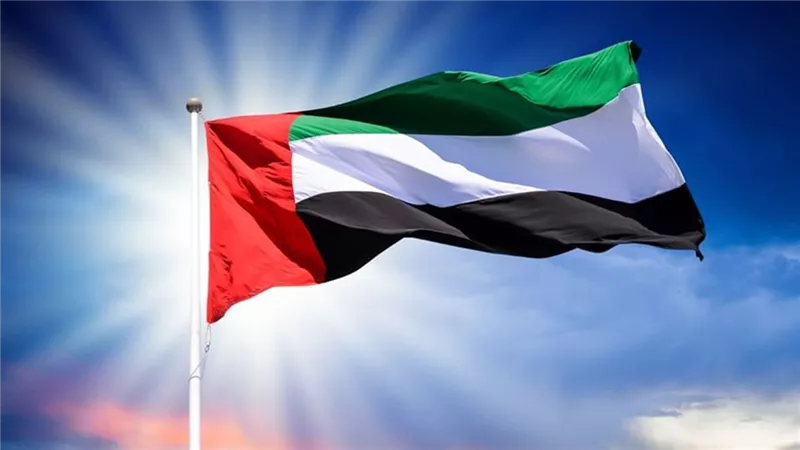 تضامن مصري عربي واسع مع الإمارات ضد المخطط الإرهابي لاستهداف الدولة
