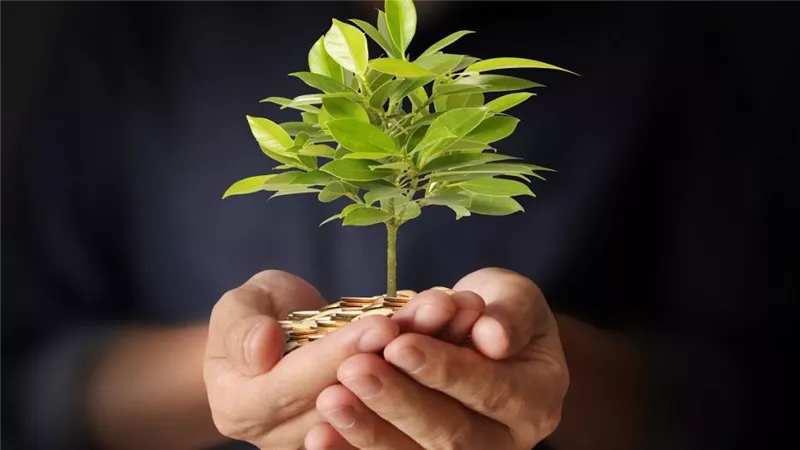 الفرق بين الصدقة وزكاة المال وزكاة الفطر.. لمن تُصرف وكيف تُحسب؟