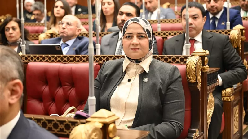 مروة قنصوة تطالب بسرعة نقل مجلس الشيوخ إلى مقر العاصمة الإدارية أسوة بالنواب 