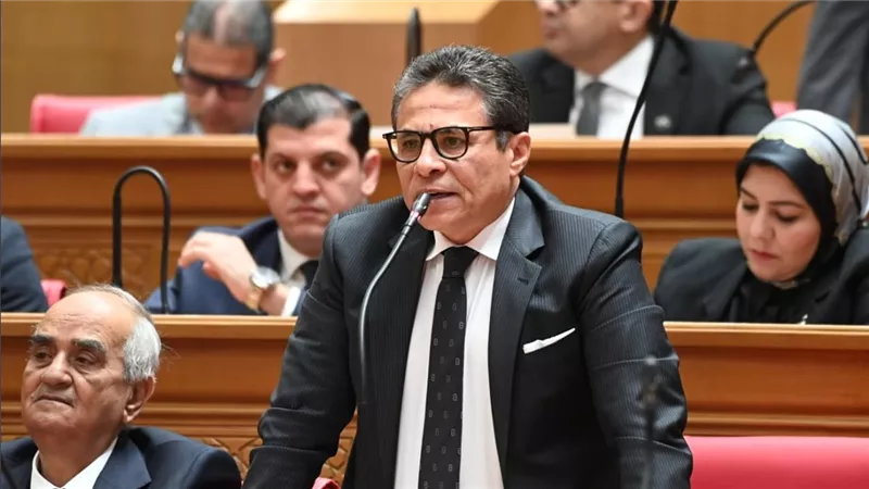 النائب طاهر الخولي: الداخلية وجهت ضربة حاسمة لمخطط إرهابي وأثبتت جاهزية الدولة