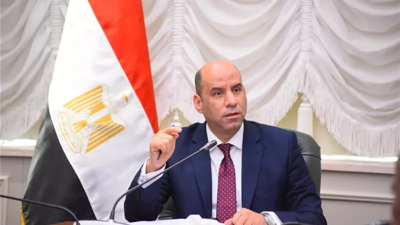 رداد: حريصون على تعزيز التعاون المصري الصيني في 