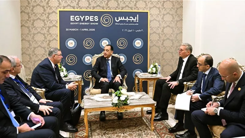رئيس الوزراء يلتقي الرئيس التنفيذي لشركة 