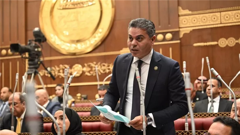 نائب:زيارة الرئيس للإمارات تؤكد تحالفًا استراتيجيًا ورؤية عربية
