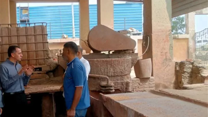 محافظ أسوان يوجه بإعادة تشغيل 