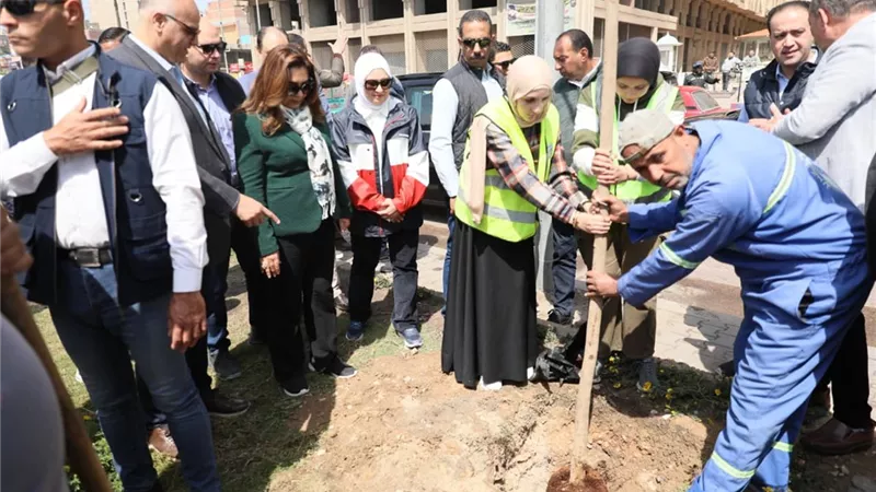  زراعة 9460 شجرة لتعزيز الاستدامة البيئية وتحسين جودة الهواء بالأسكندرية