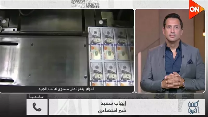 إيهاب سعيد: المركزي تحرك استباقيا بسياسة الصرف المرن لحماية الجنيه