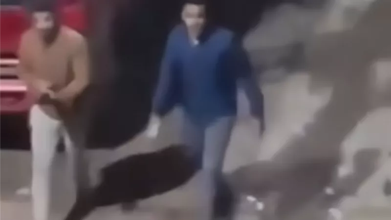 بسبب الأطفال.. القبض على أطراف مشاجرة الأسلحة النارية بكفر العلو بحلوان 