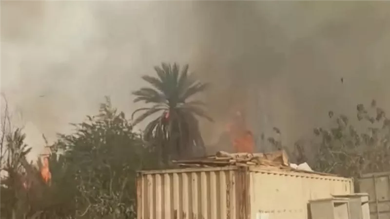 النار حاصرت النخيل وهددت البيوت.. حريق ضخم يهز إسنا واستنفار بـ5 سيارات إطفاء 