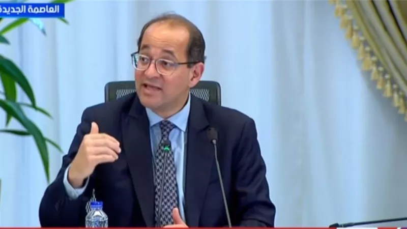 وزير المالية: نظرة مجتمع الأعمال إلى الاقتصاد المصري تحسنت بشكل كبير