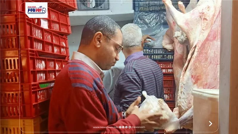 ضبط 4 أطنان لحوم فاسدة في المنيا خلال أسبوع وإعدام 563 كيلو