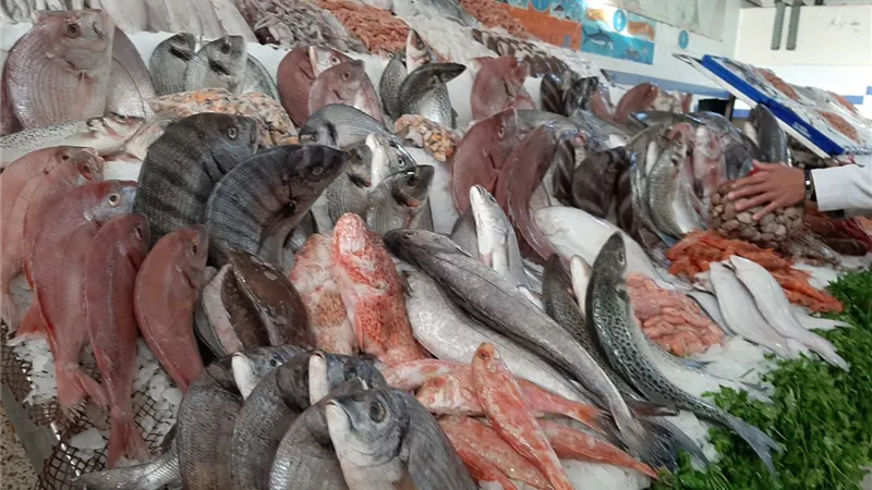 الجمبرى يسجل 385.69.. اسعار الاسماك في الاسواق المصرية اليوم 