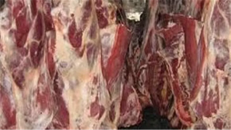 ضبط 156 طن لحوم ودواجن وأسماك فاسدة و961 محضر مخالفة بمارس… الطب البيطري يكشف