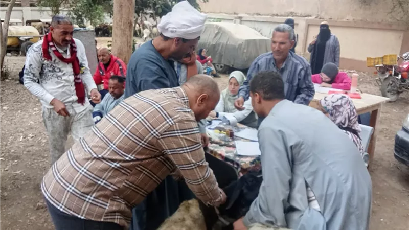 بيطري سوهاج تسلم 298 رأس أغنام للمستفيدين بقرى المراغة وساقلتة