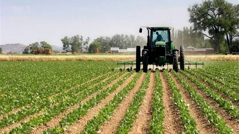 «استصلاح الأراضي» تقر موازنة العام الجديد وخطة لإعادة تقييم الأصول