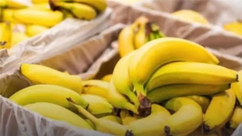 بسبب خطأ في الشحن.. كيف تحولت جزيرة أوركني إلى مخزن للموز؟
