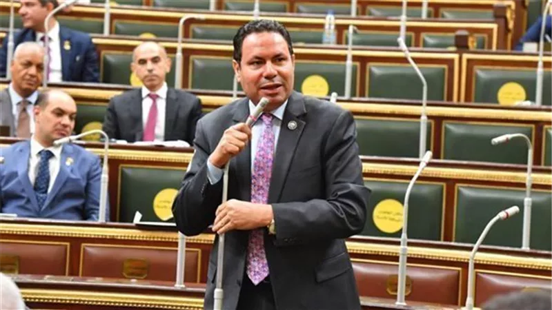 هشام الحصري: زيادة سعر توريد القمح ل 2500 جنيه خطوة هامة لتشجبع الإنتاج المحلي