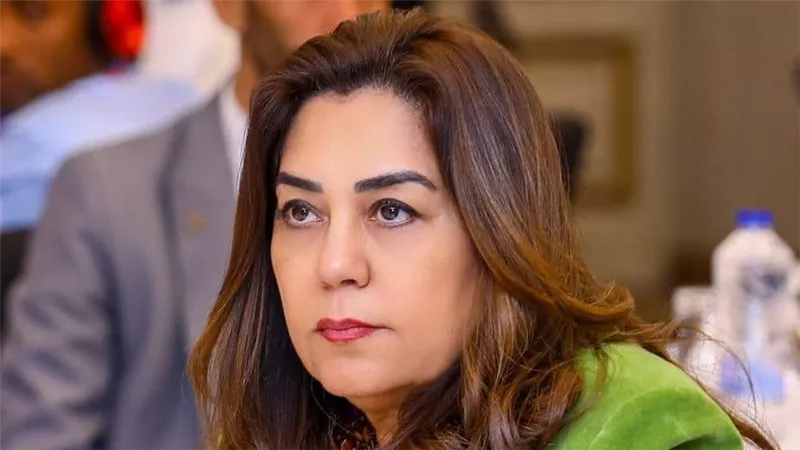 منال عوض توجه بإرسال لجنة عاجلة لإحتواء بقعة سولار بترعة الإسماعيلية 