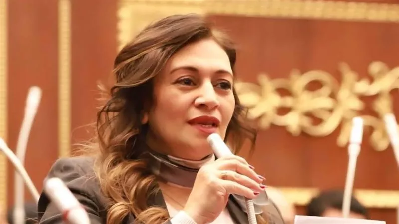 مجلس الشيوخ يبحث دمج ذوي الإعاقة بسوق العمل وتحويلهم لقوة إنتاجية