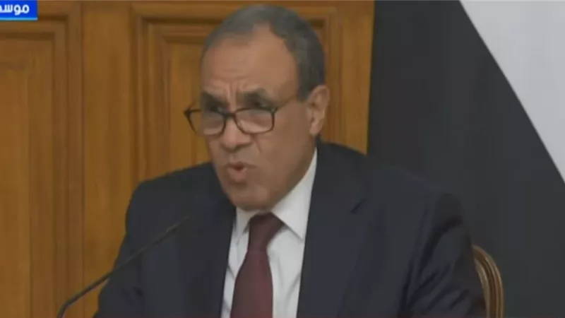 وزير الخارجية: على إسرائيل أن تنسحب من غزة بالتزامن مع عملية تسليم السلاح
