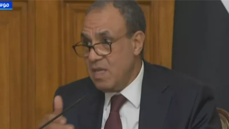 وزير الخارجية: مصر تتحرك مع روسيا كشريك دولي لخفض التصعيد بالمنطقة