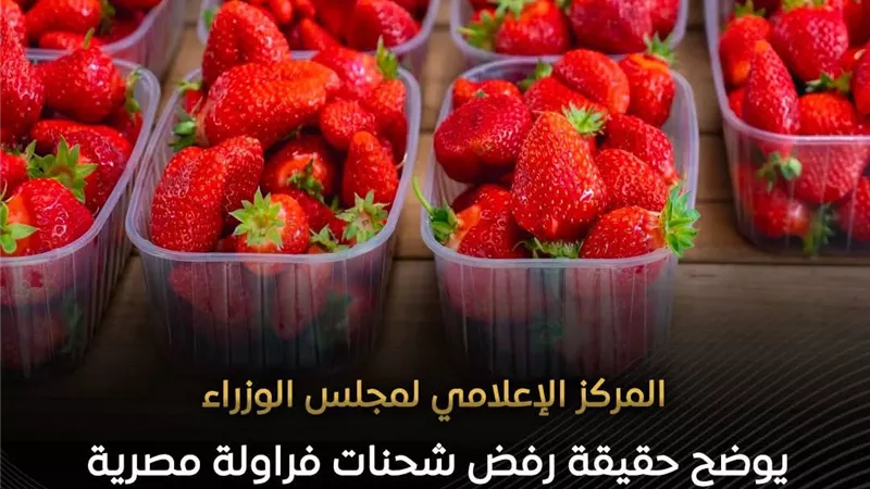 الحكومة تنفي شائعات رفض شحنات الفراولة المصرية وتؤكد جودتها