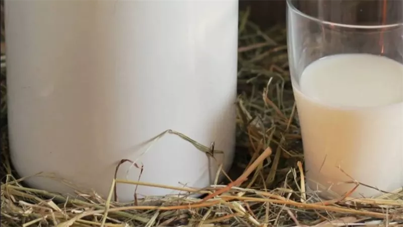 أفضل مواعيد شرب الحليب لصحة العظام والوقاية من الهشاشة