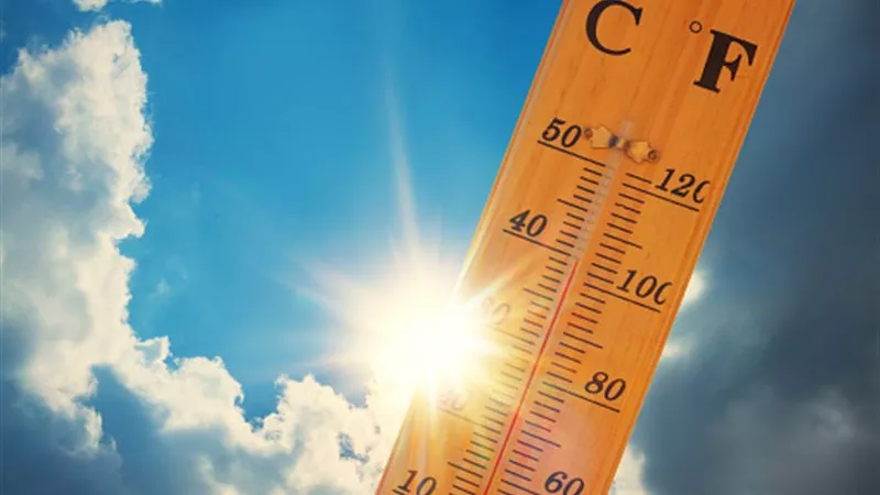 أجواء دافئة.. حالة جوية متقلبة.. نشاط رياح وأتربة مع فرص أمطار محدودة
