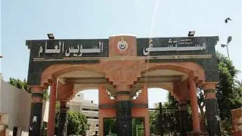 إصابة طفلين بعقر كلب وخربشة قطة ضالة في السويس.. وتحذيرات للأهالي
