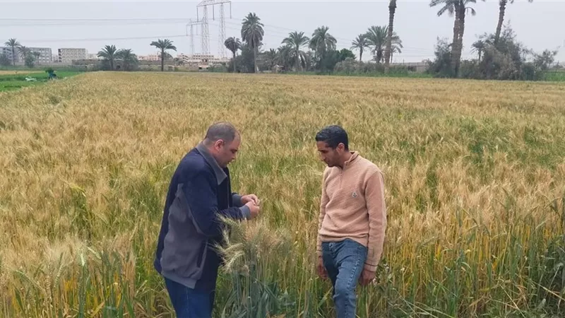 الزراعة تشدد الرقابة.. متابعة ميدانية لصرف الأسمدة وضمان وصول الدعم لمستحقيه