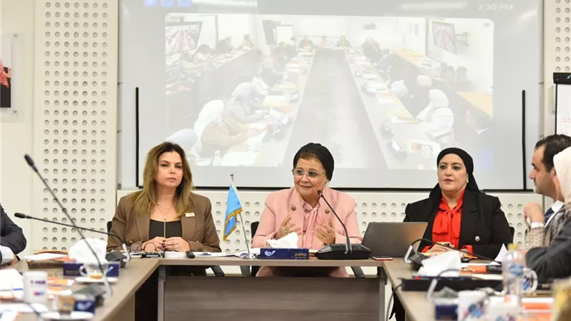الألفي تشارك في مائدة مستديرة لتعزيز إتاحة وسائل تنظيم الأسرة بالقطاع الخاص