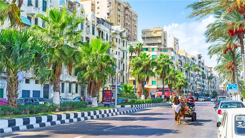 الأصل والفصل| شم النسيم.. مهرجان الربيع المصري بين التاريخ والتقاليد