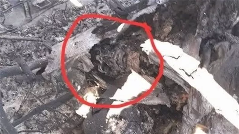 الحرس الثوري ينشر صورة لجمجمة عسكري أمريكي بين حطام الطائرات في أصفهان