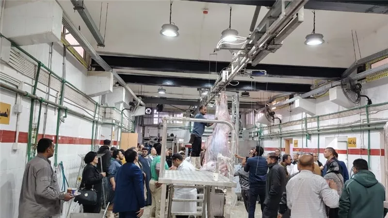 وزيرة التنمية المحلية والبيئة تعلن التشغيل التجريبي لمجزر فاقوس بالشرقية 