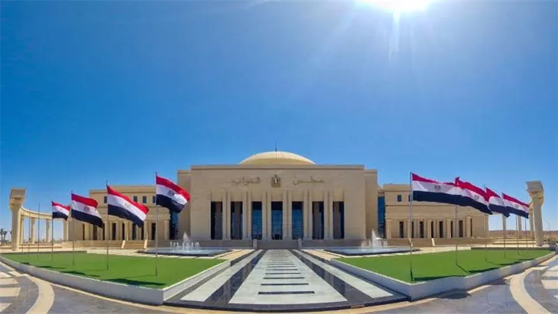 النائبة ايرين سعيد: قانون الإدارة المحلية يتصادم مع الدستور