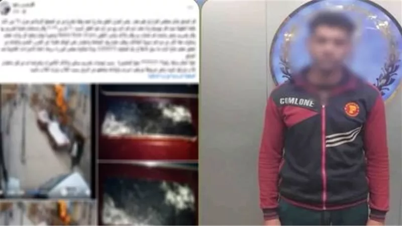 ضبط شخصين اعتديا على نجل عمهما وحطما كاميرات منزله بالدقهلية