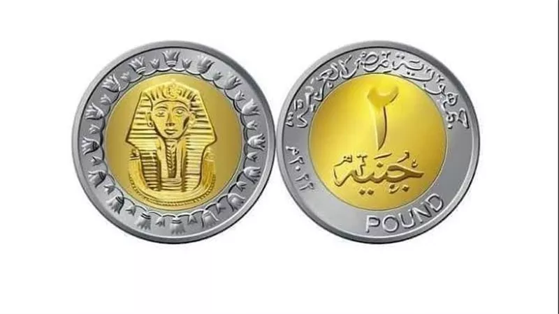 الحكومة تعلن طرح عملة الـ 