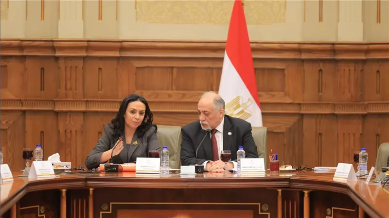وزيرة التضامن والهلال الأحمر يناقشان استعدادات مصر لمواجهة الأزمات الإنسانية