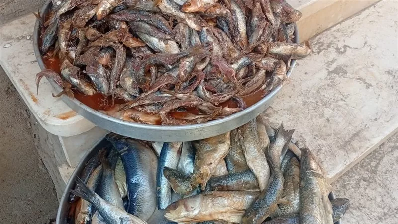 ضبط 2.5 طن دقيق مدعم قبل بيعه في السوق السوداء بالمنوفية